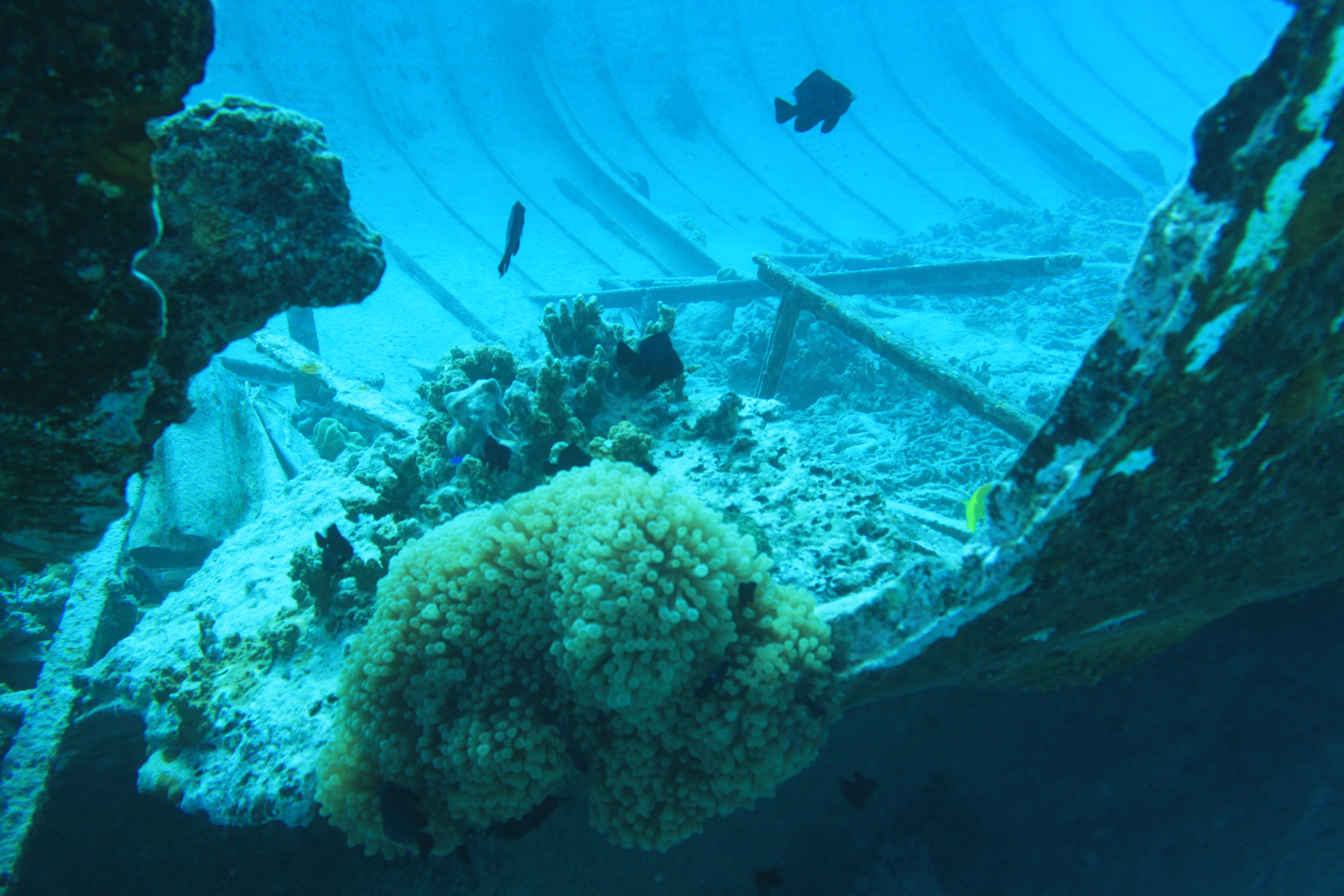 Sailing through the Pacific Ocean » Tahiti – inside a wreck